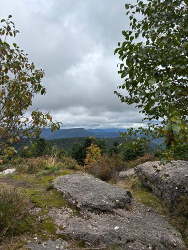 Randonnée forêt vallée de la bruche  (5)