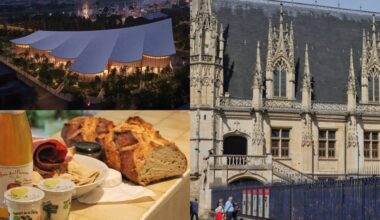 Centre des congrès, fête du ventre, avocate... Ce qui a fait l'actu cette semaine à Rouen