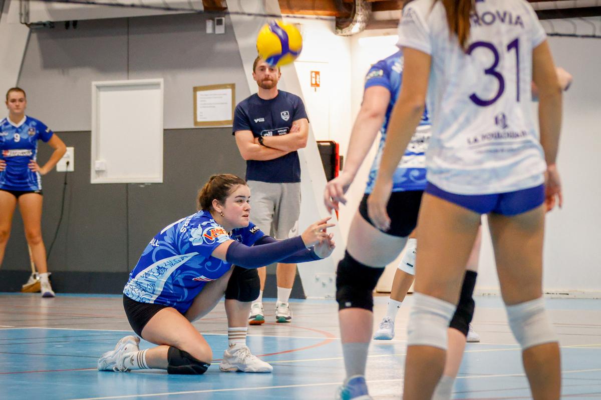 Basket, foot, hand, volley : les résultats du week-end en Béarn et Soule