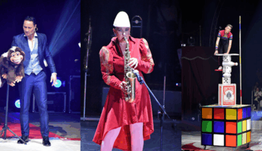 Le Cirque Pinder est présent sur le Champ de Mars de Lille jusqu’au 11 novembre 2025