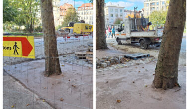 c'est quoi ce revêtement mis au pied des arbres de la place d'Austerlitz ?