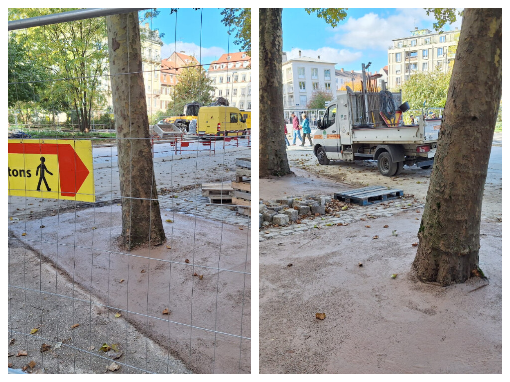 c'est quoi ce revêtement mis au pied des arbres de la place d'Austerlitz ?