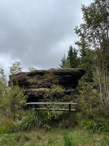 rocher des enfants Randonnée forêt vallée de la bruche  (18)