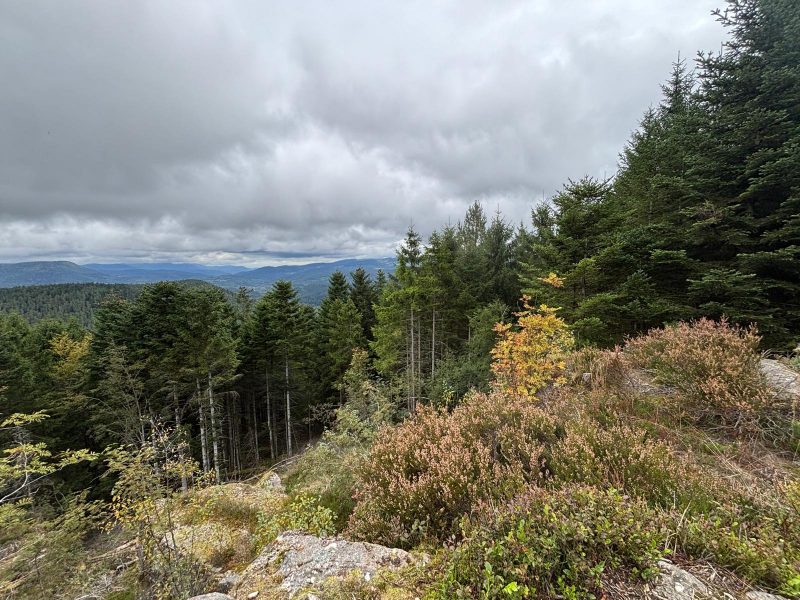rocher des enfants Randonnée forêt vallée de la bruche  (21)
