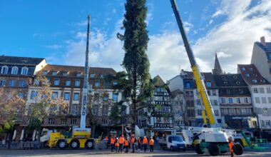 voici ce qu'il faut savoir sur le grand sapin installé place Kléber
