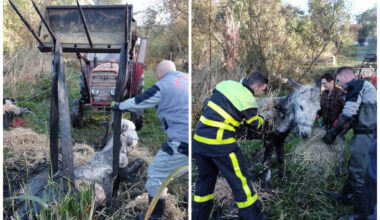 "Il en avait jusqu'au cou"