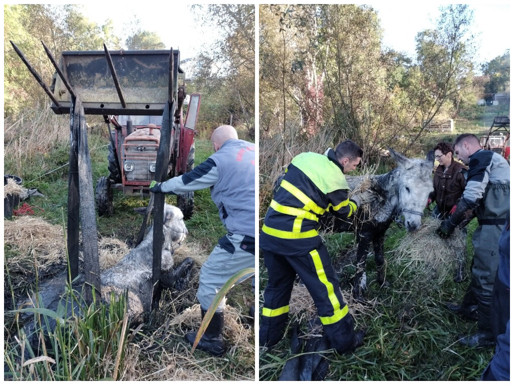 "Il en avait jusqu'au cou"