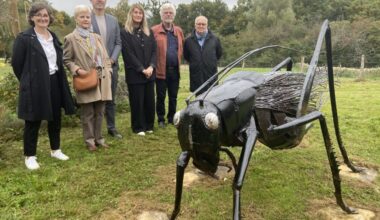 une sauterelle géante atterrit dans la pelouse du musée des Maisons comtoises • macommune.info