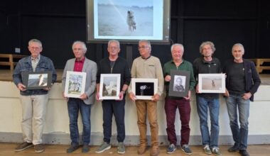 Concours photo sur le thème du vent à Montmoreau : les lauréats dévoilés