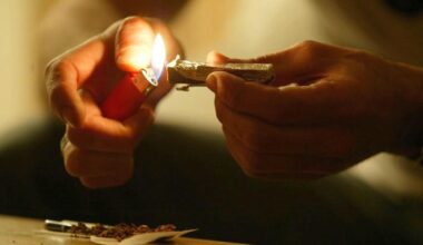 Le livreur, la nourrice et le dealer de cannabis devant le tribunal de Bordeaux