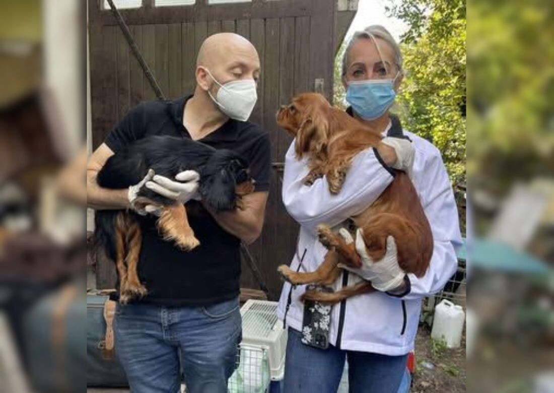 Atteint d'un trouble du comportement, il détenait des animaux dans "des conditions catastrophiques" à Arcachon