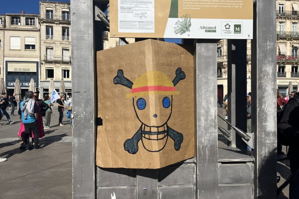 Dans le défilé, les manifestants brandissent aussi des drapeaux de One Piece, clin d’œil inattendu au milieu des banderoles syndicales.