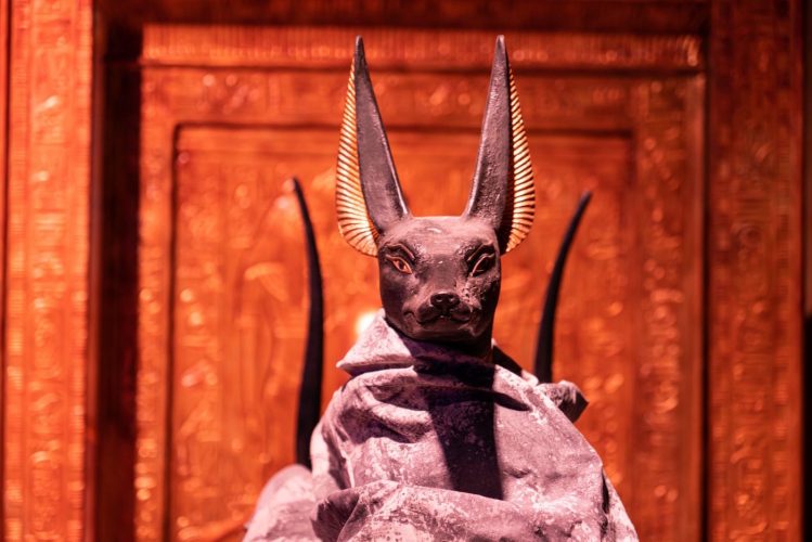 TOUTANKHAMON_©Tempora_©trentesept.fr-14-scaled