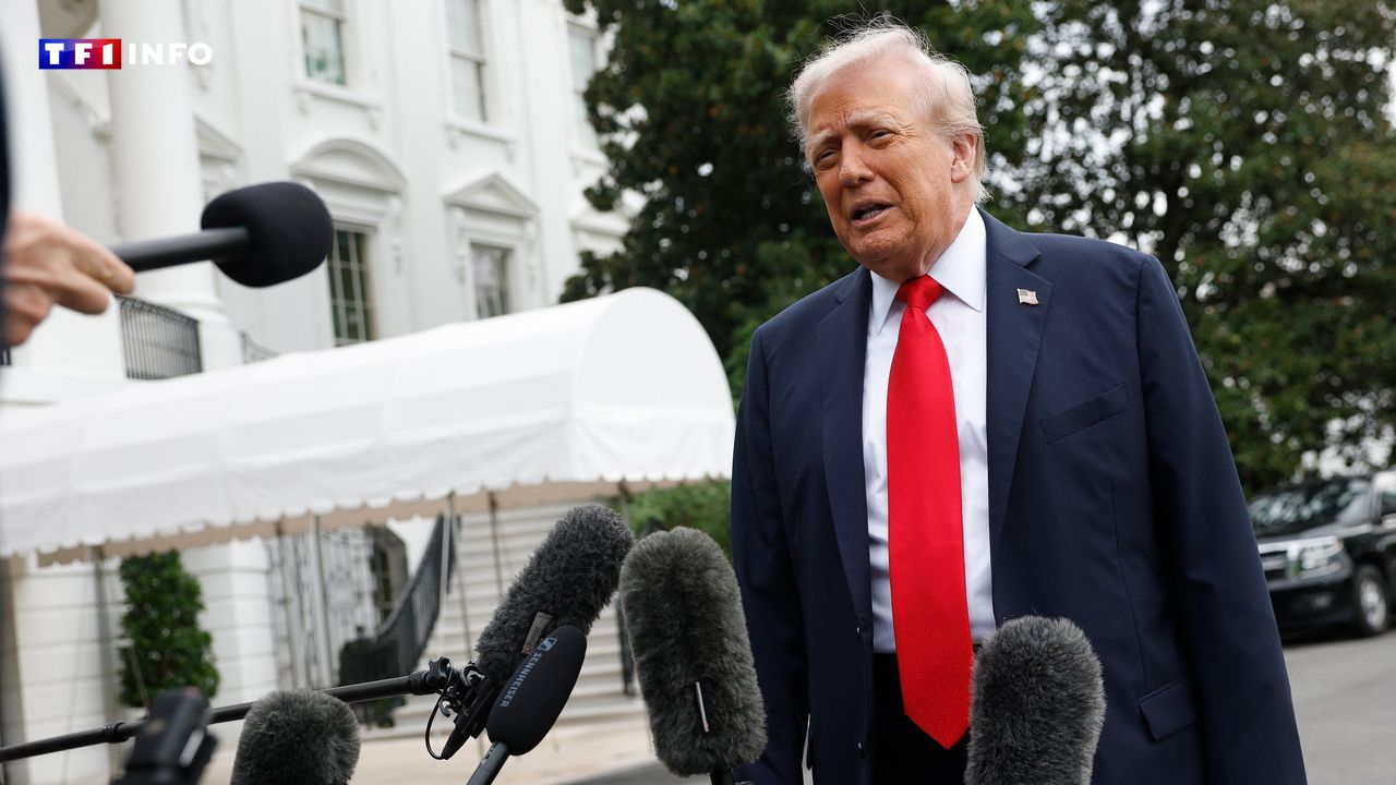 EN DIRECT - Paix à Gaza : Donald Trump prévoit de partir dimanche pour le Moyen-Orient
