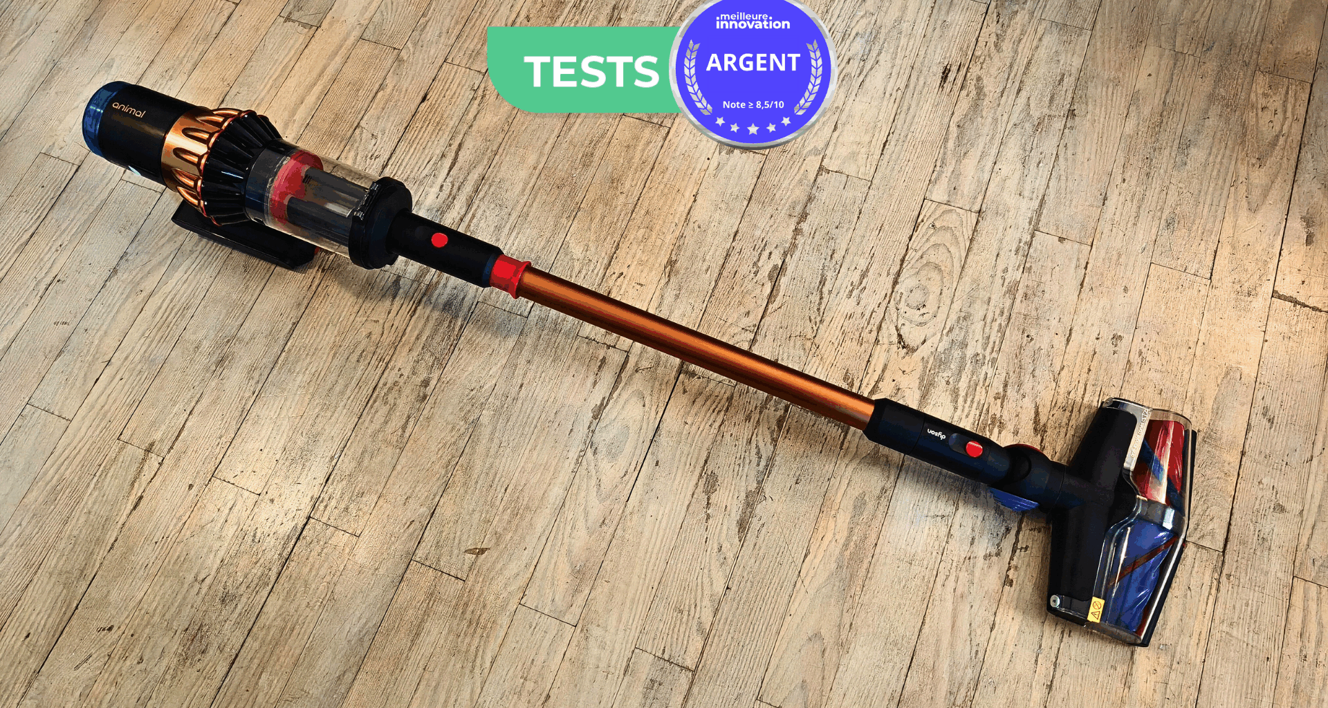 Une Dyson V16 Pilot Animal Test