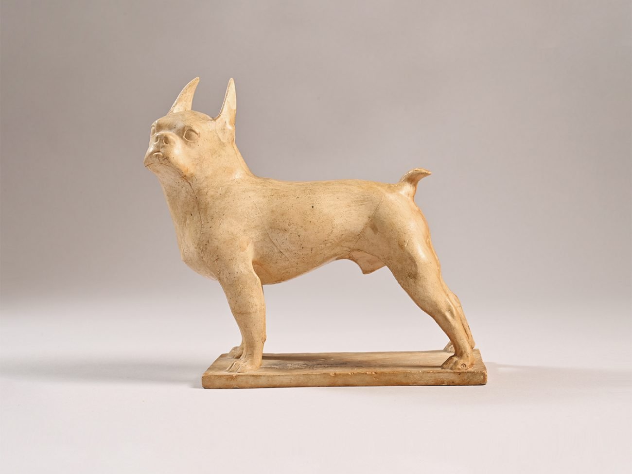 François Pompon, « Boston-terrier (Toy) » dédicacé « à mon ami Trémont »