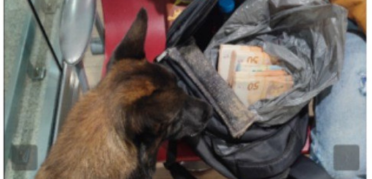 Seine-Maritime. Le chien des gendarmes permet de résoudre une belle affaire