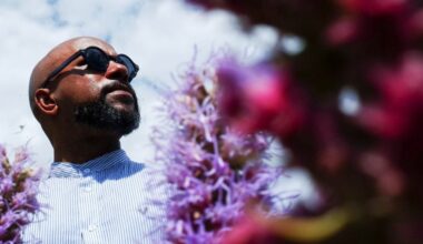 Sotteville-lès-Rouen. 11 concerts pour une édition automnale inédite du Pacific Festival