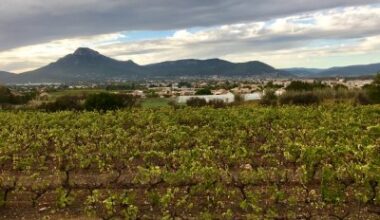 À Marseille, 850 000€ en soutien à l’agriculture et à la viticulture
