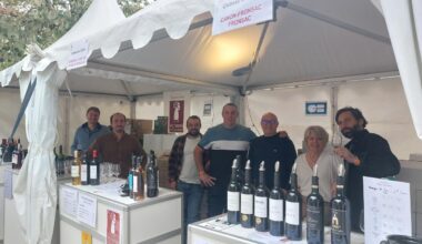 « Les châteaux viticoles viennent au cœur de Bordeaux »