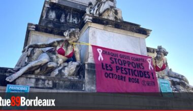 Octobre rose : Extinction Rebellion dénonce les pesticides sur le monument aux Girondins