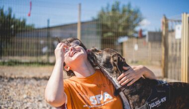 Vous aimez les animaux ? Cette série inédite sur la SPA de Montpellier va vous bouleverser