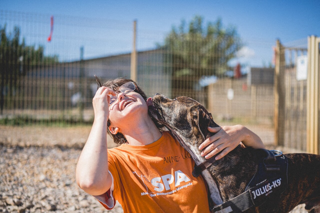 Vous aimez les animaux ? Cette série inédite sur la SPA de Montpellier va vous bouleverser