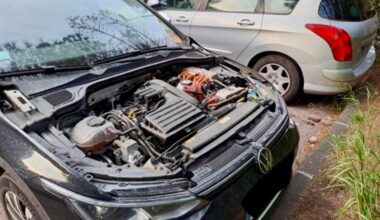 "Un marché à ciel ouvert"