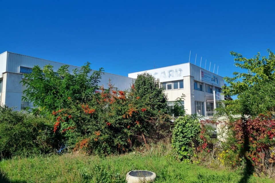 Près de 30% du site va être conservé en pleine terre.