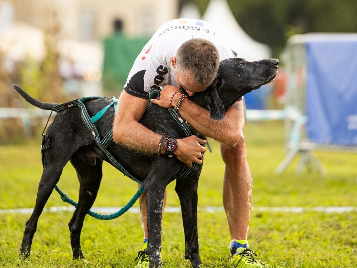 Woofest 2025 : Nice devient la capitale des chiens le temps d’un week-end