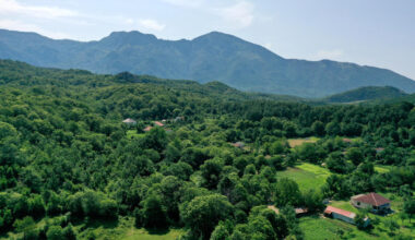 En Albanie, une forêt en réparation