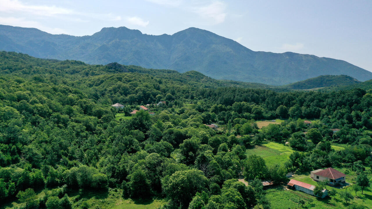 En Albanie, une forêt en réparation