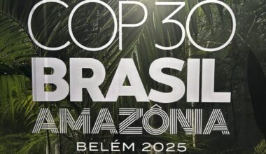 Climat : à la veille de la COP 30, la «locomotive européenne» ralentit