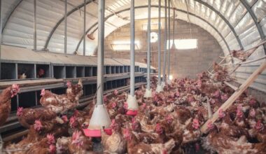 Page d'accueil Yahoo news