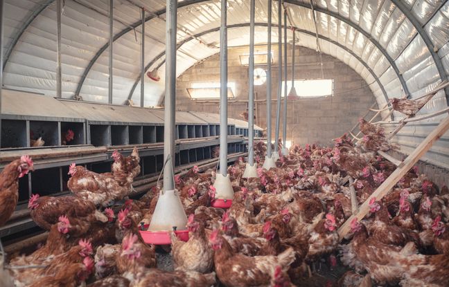 Page d'accueil Yahoo news