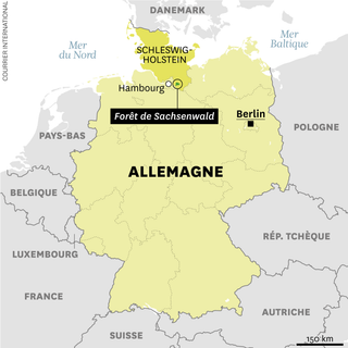 La forêt de Sachsenwald, en Allemagne.