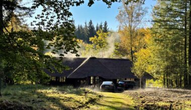 Les héritiers de Bismarck entretiennent un petit paradis fiscal en pleine forêt