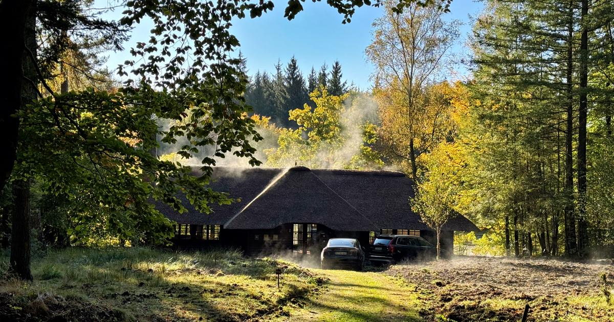 Les héritiers de Bismarck entretiennent un petit paradis fiscal en pleine forêt