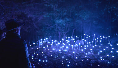 un parc lumineux et sonore va ouvrir dans l'Eure