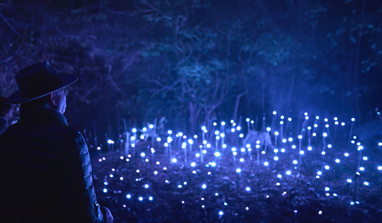 un parc lumineux et sonore va ouvrir dans l'Eure