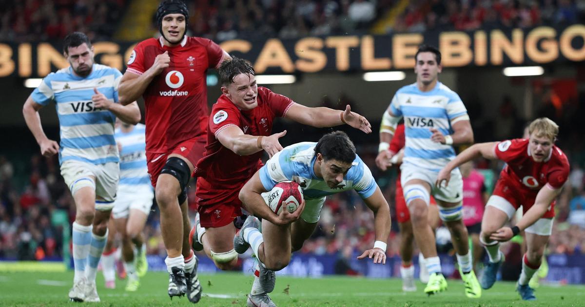 en vidéo, la correction infligée par les Pumas argentins aux Gallois