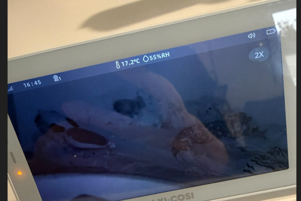 Au milieu de l'après-midi, il ne fait que 17 degrés dans la chambre du petit. La nuit, la température descend plus bas.