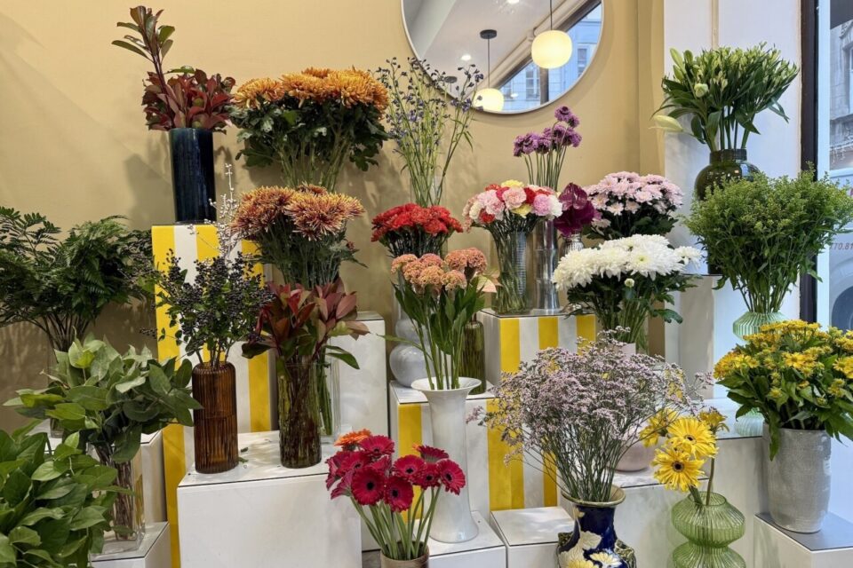 dubouquet fleuriste fleurs plantes bouquets boutique lille