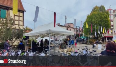 Schiltigheim. La Bricol'heureuse samedi, une journée pour tout réparer