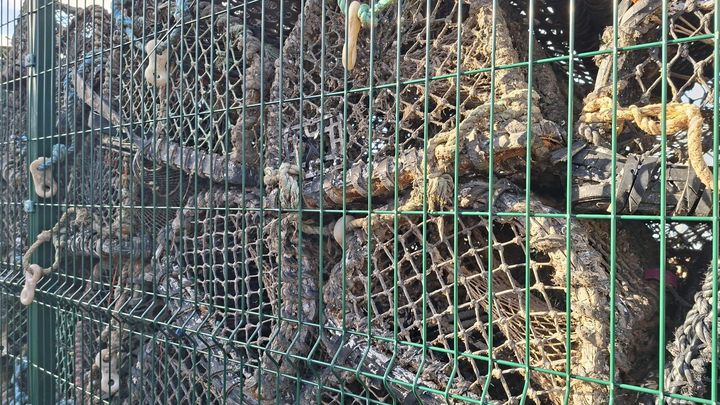 Les casiers des pêcheurs de crabes remontent désespérément vides de crustacés. (GAELE JOLY / RADIO FRANCE)