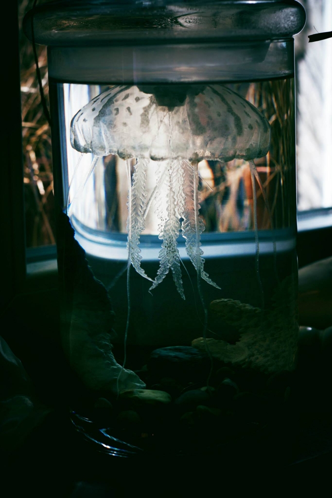 La Mandragore, mystères et pintes de bières – Pokaa