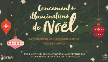 Lancement des illuminations et feu d