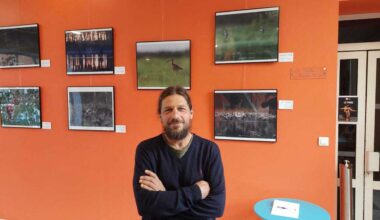 Les photos animalières de Vincent Spagnolini sont à découvrir à Langon