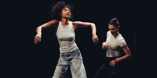 Spectacles de danse - M&M ©streetshuman_4