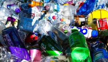 UE : 35,3 kg de déchets d'emballages plastiques par personne et par an. Quel est le pays qui recycle le plus ?